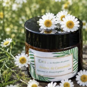 Baume au bellis - Emi. Les Bienfaits des Plantes, fait main en Vendée