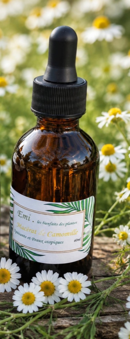 Macérat huileux de camomille - Emi. Les Bienfaits des Plantes, fait main en Vendée
